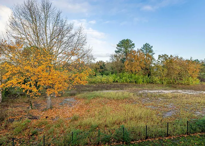 מלון Bordeaux Andre De Cubzac *